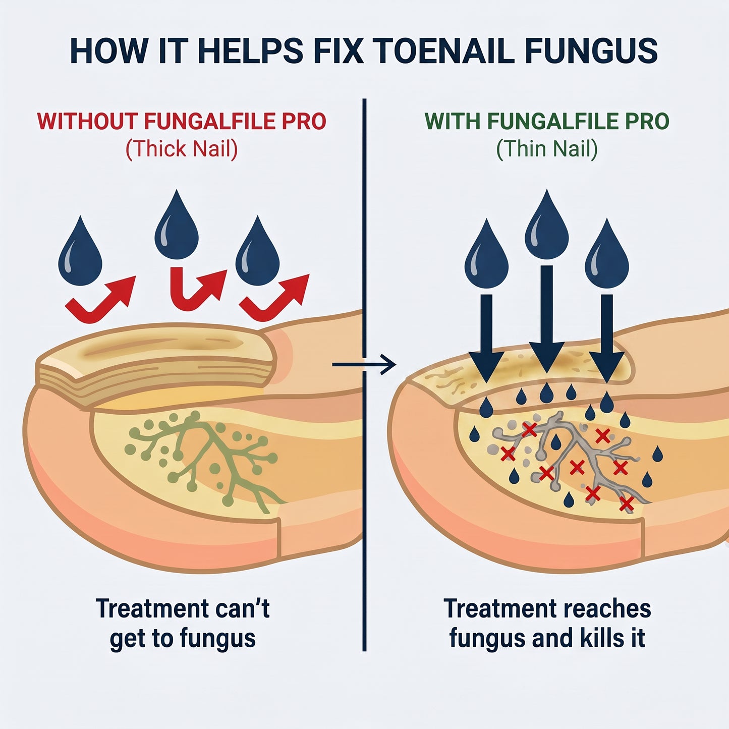 FungalFile Pro™